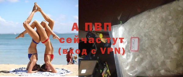 ГАЛЛЮЦИНОГЕННЫЕ ГРИБЫ Магас