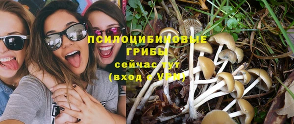 марки nbome Новозыбков