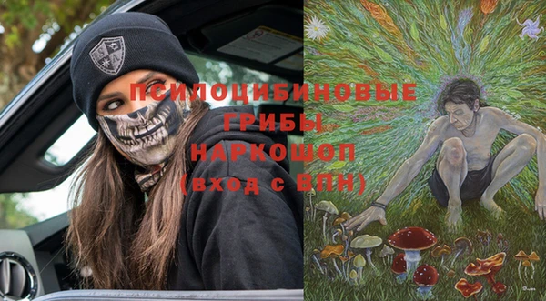 ГАЛЛЮЦИНОГЕННЫЕ ГРИБЫ Магас