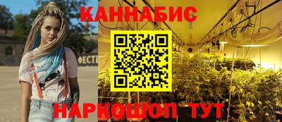 мдпв Гатчина