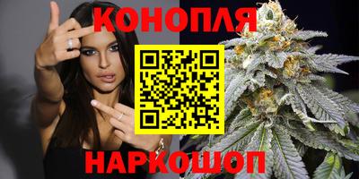 мдпв Гатчина