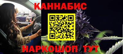 мдпв Гатчина