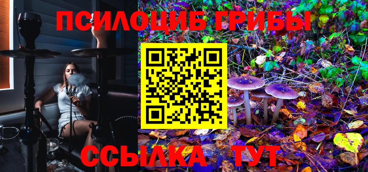 Галлюциногенные грибы Cubensis Лесозаводск