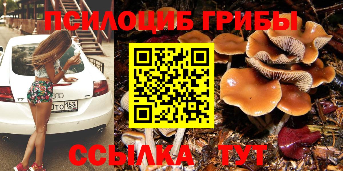 Псилоцибиновые грибы GOLDEN TEACHER  Вход с VPN  Лесозаводск  Галлюциногенные грибы прущие грибы 